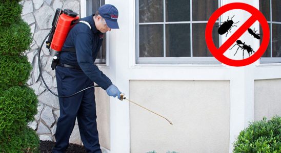 Patnos Tahtakurusu İlaçlama böcek ilaçlama ve haşere kontrolü — ilaclama-tr.com